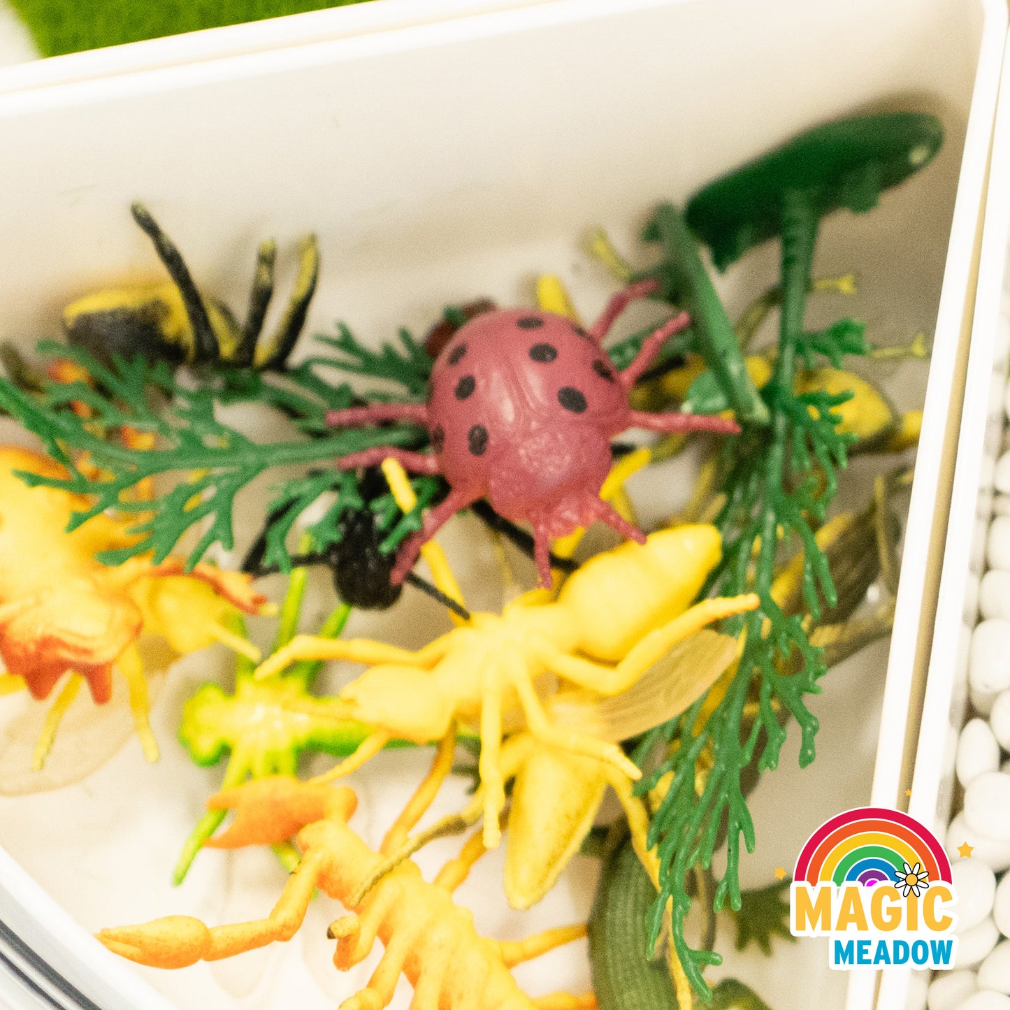 MagicMeadow Insect Sensory Kit