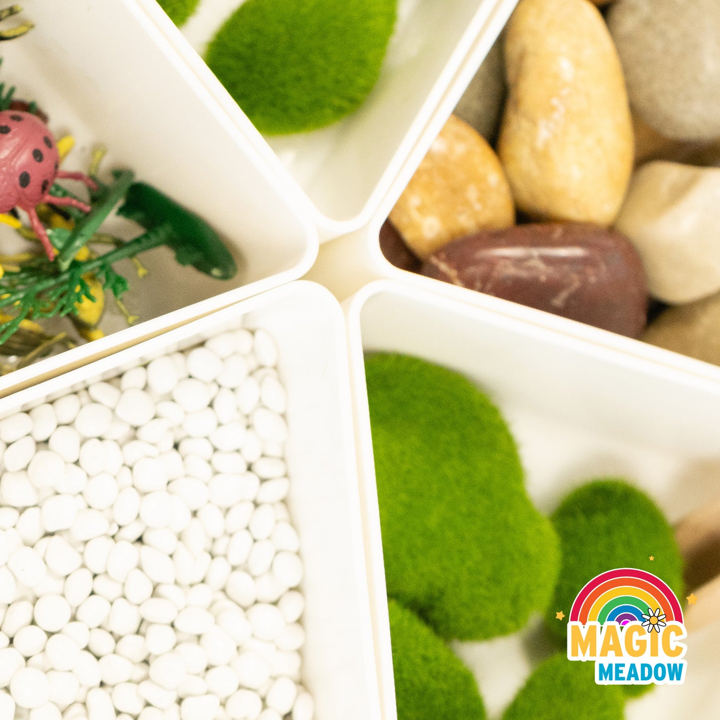 MagicMeadow Insect Sensory Kit