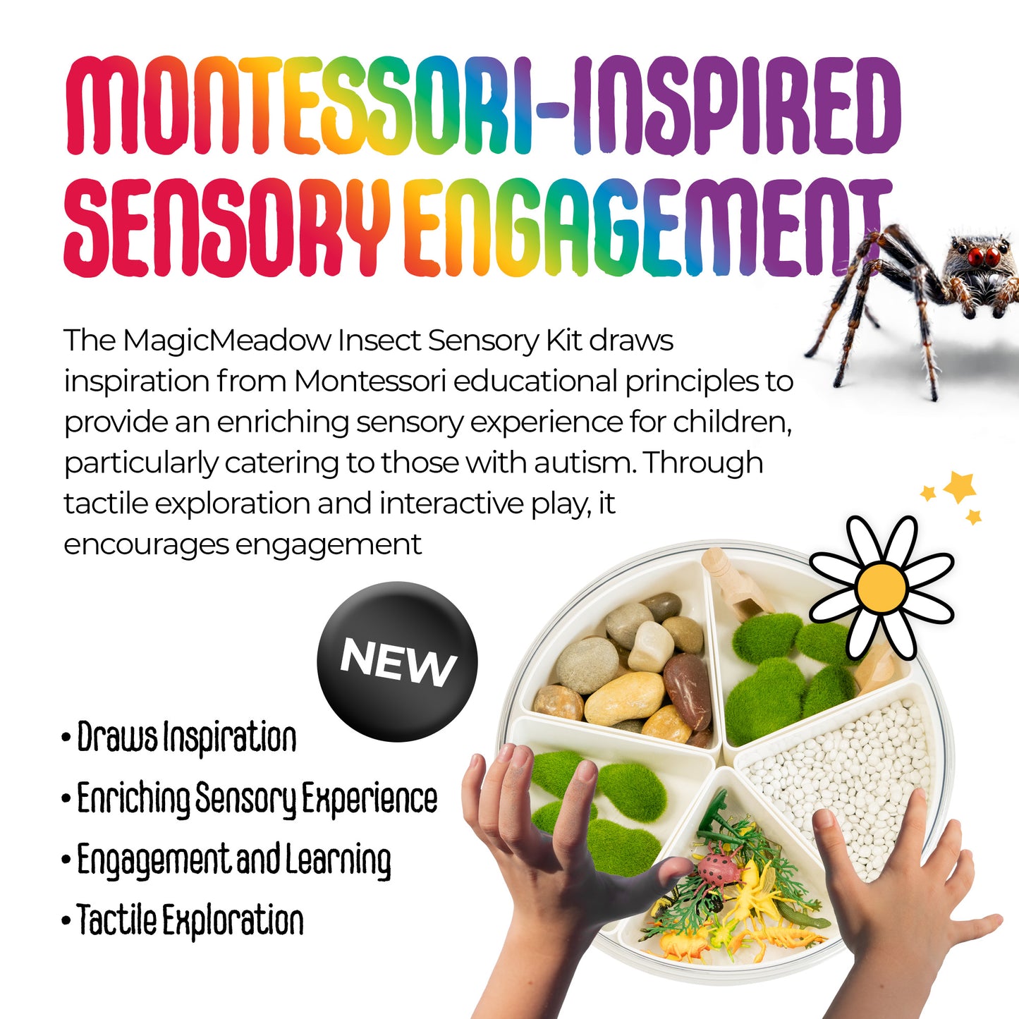 MagicMeadow Insect Sensory Kit