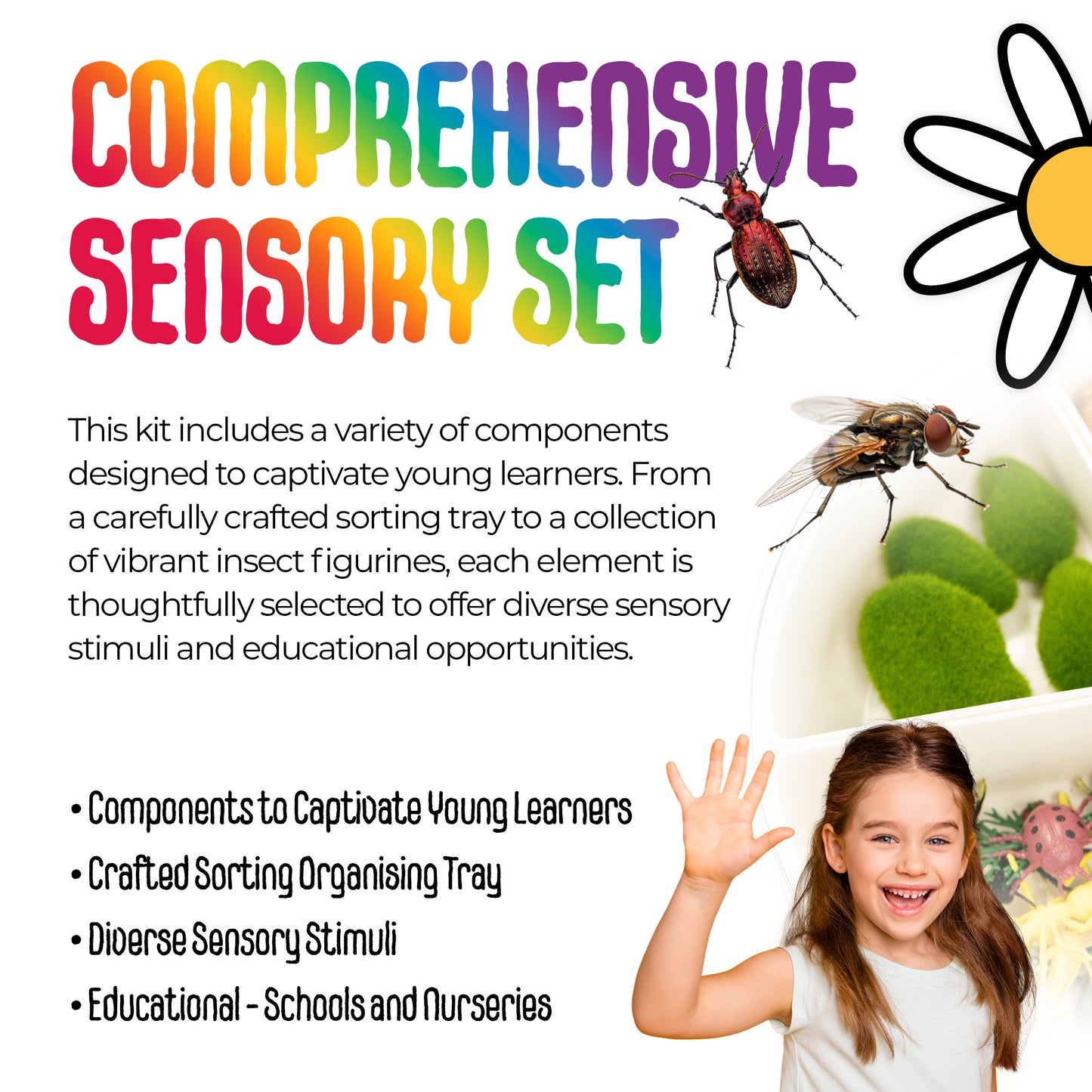 MagicMeadow Insect Sensory Kit